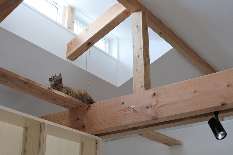 キャットウオーク