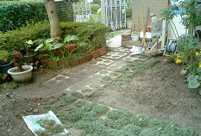 Before