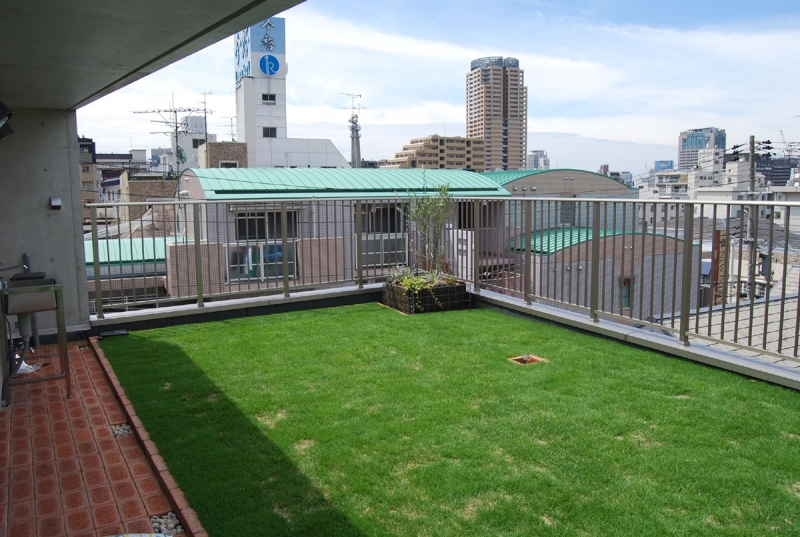 屋上緑化の家【鉄筋コンクリート／打ちっ放し】 