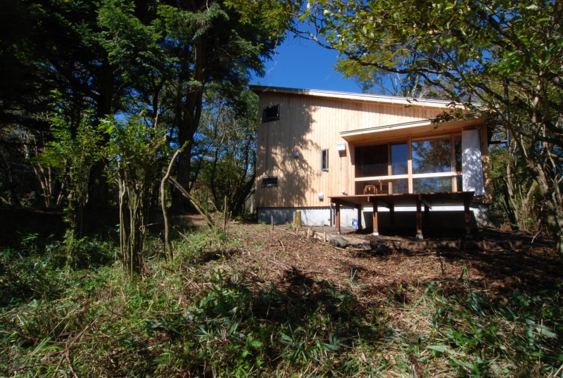  樹林を切り拓いて建てる
