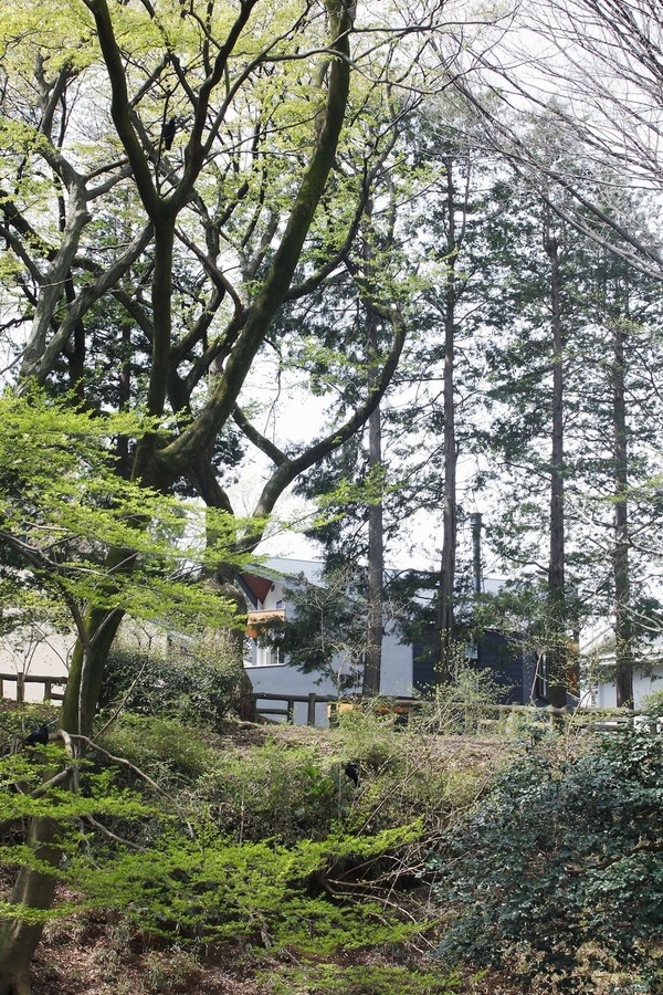 土地探しからサポートする家づくり