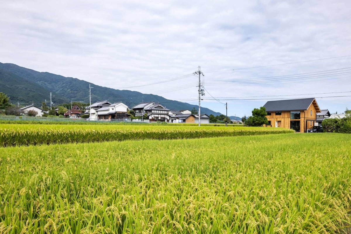 葛城山麓の家｜遠景