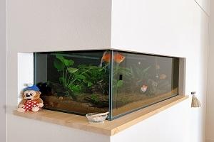 Home Aquarium