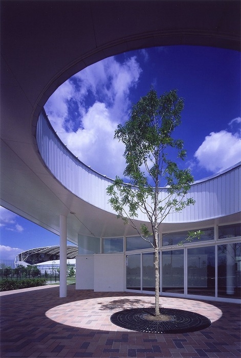 軒にシンボルツリー用の開口を穿つ