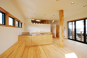 Library house