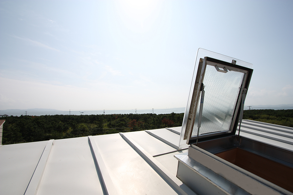 屋根からの眺め