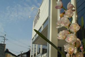 こじま花店