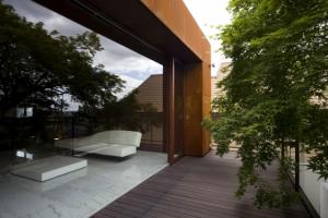 HOUSE MAPLE TREE